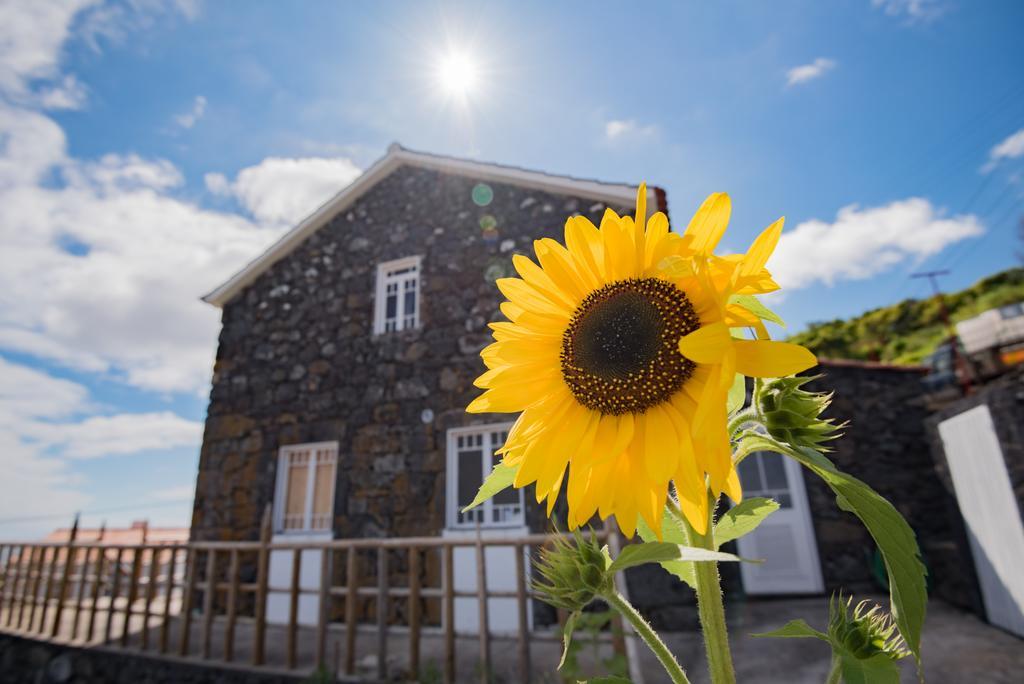 Stone Dreams - Pedra Da Atafona Villa Calheta de Nesquim ภายนอก รูปภาพ